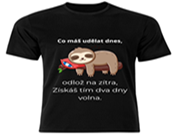 Pánská